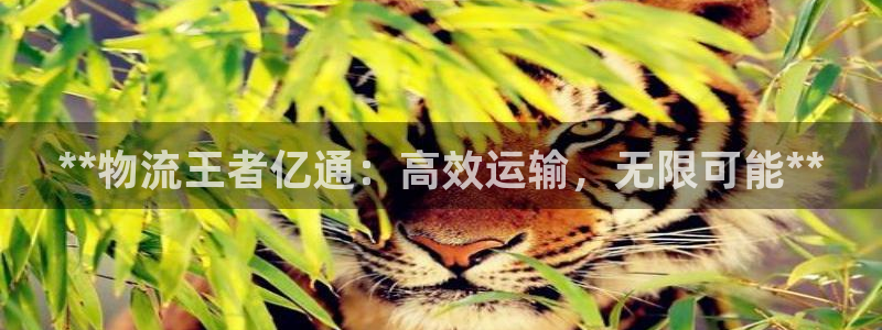 28圈里的财神