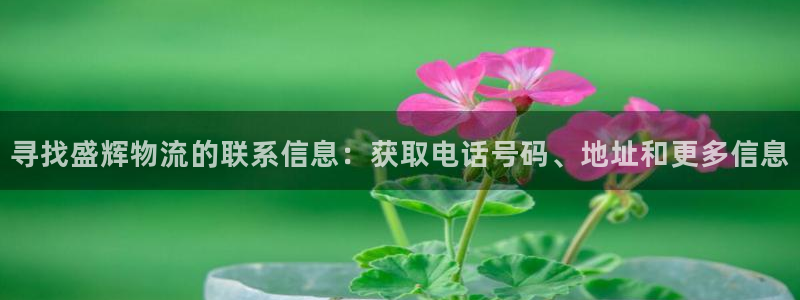 28圈农业银行是狗卡吗：寻找盛辉物流