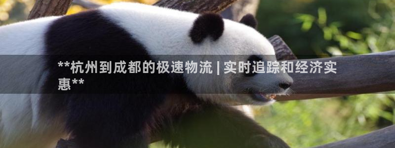 28圈如何退款
