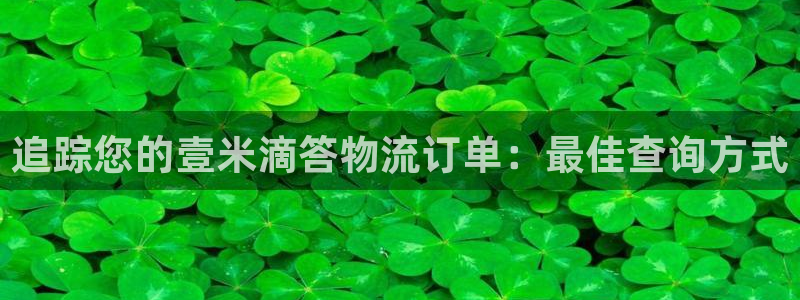 28圈连输10天