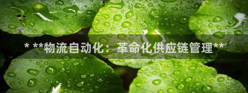28圈旗下