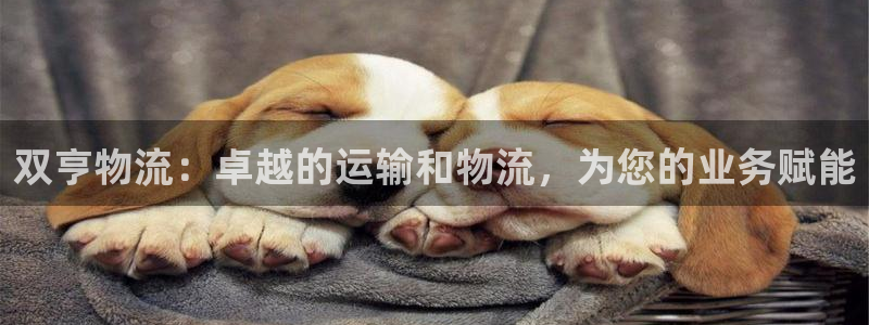 28圈龙虎