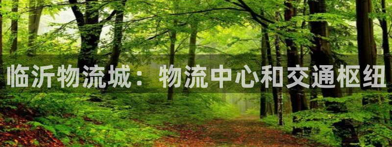 28圈注册与教程