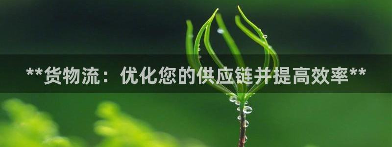 28圈黑吗