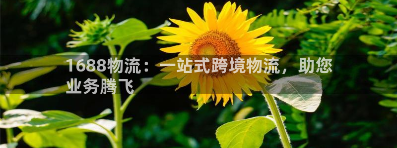自行车28圈是什么意思：1688物流