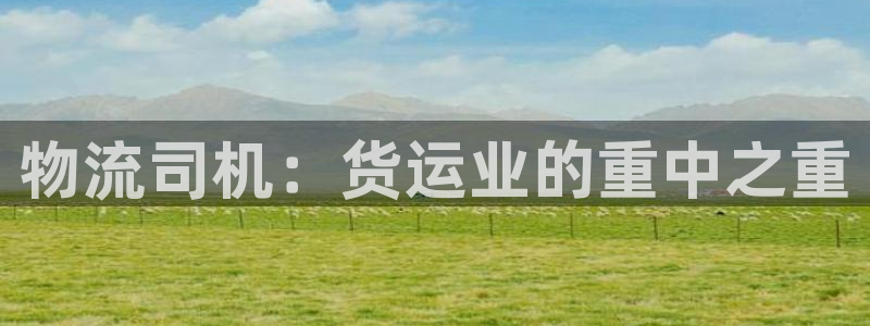 28圈p图上分下款通道：物流司机：货