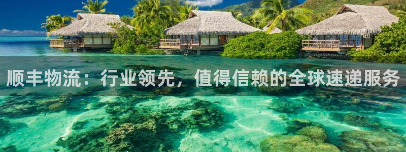 28圈预测加拿大师准