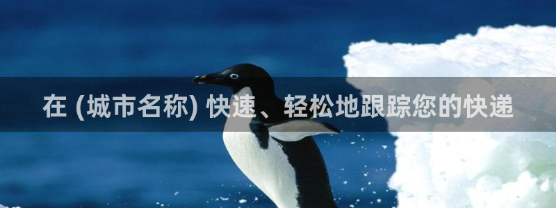 28圈口
