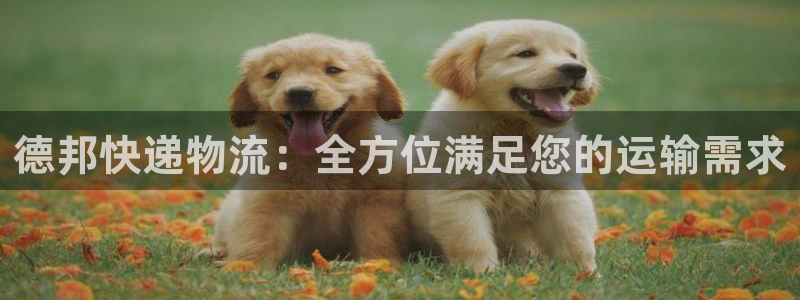 28圈代理落网