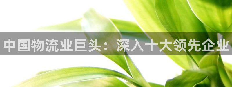 28圈官方网站是多少