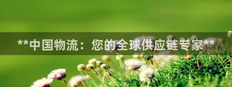 28圈娱乐官网网页下载
