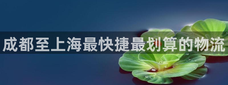 28圈的平台