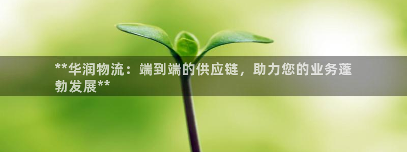 加拿大28圈注册链接：**华润物流：