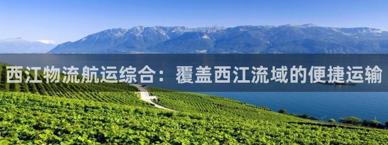 28圈违法吗