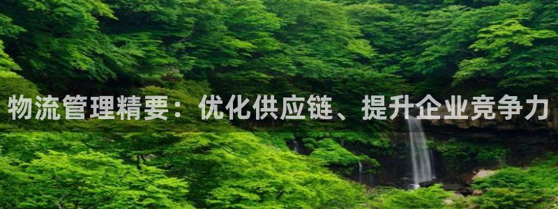 28圈网站怎么注册