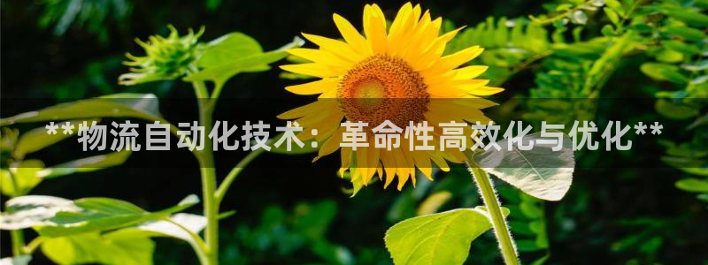 自行车28圈是什么意思：**物流自动