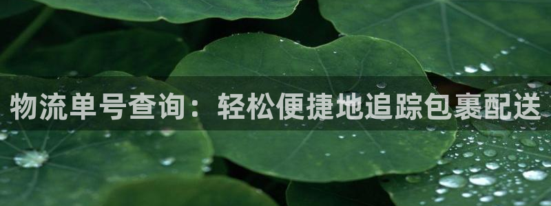28圈下载链接是多少