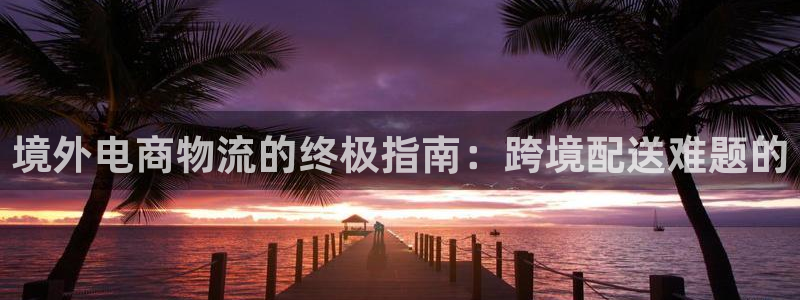 28圈能提现吗：境外电商物流的终极指