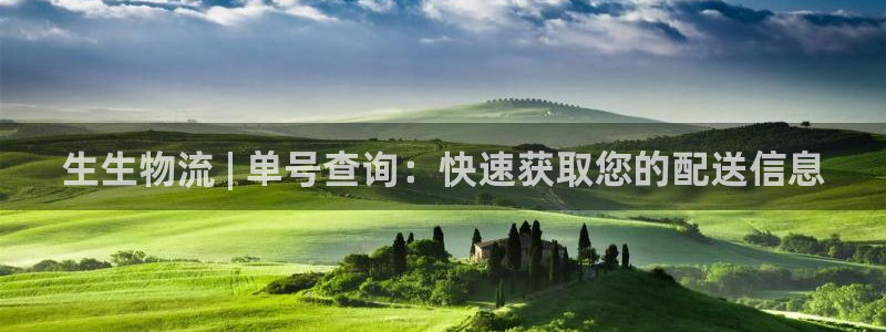 28圈是南宫旗下的吗：生生物流 | 