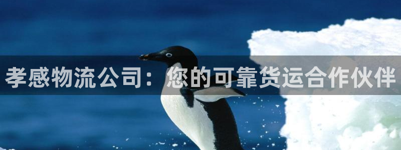 28圈怎么注册下载