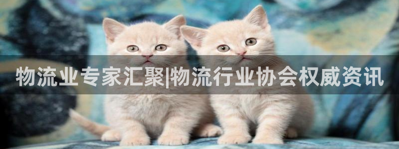 28圈加拿大28：物流业专家汇聚|物