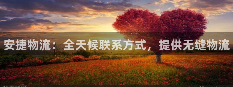 28圈麻将胡了在线试玩：安捷物流：全