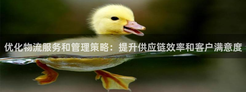 28圈游戏：优化物流服务和管理策略：