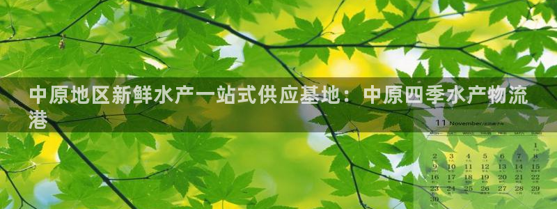 28圈加拿大是什么意思