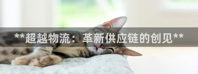 28圈圈
