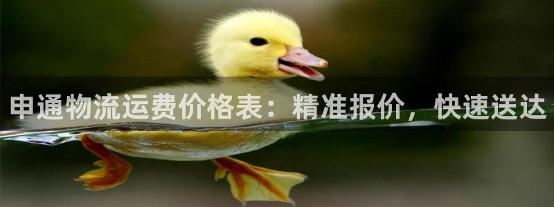 28圈app官网少林足球