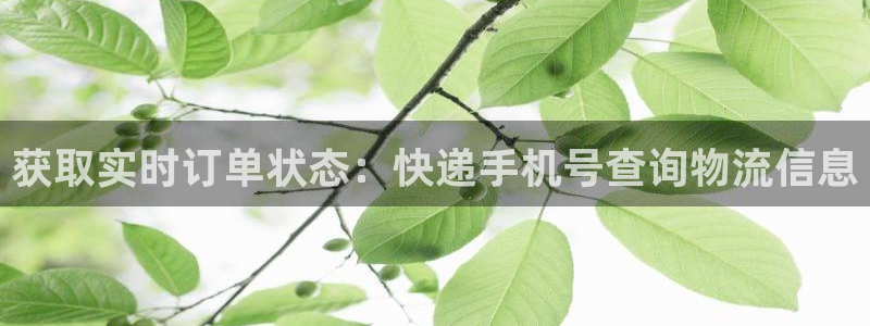 28圈合法吗