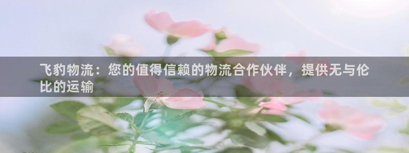 28圈加拿大2.8预测在线预测