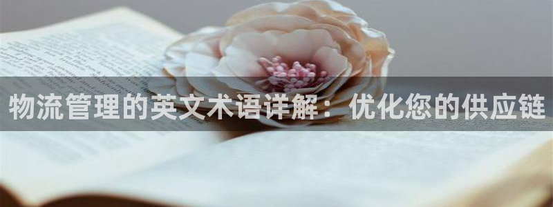 28圈是正规平台吗：物流管理的英文术