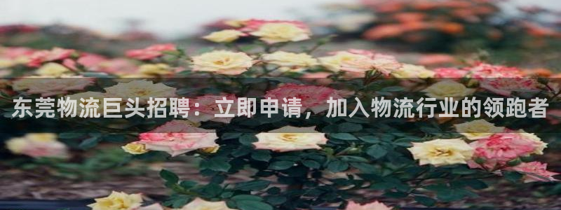 28圈能赢钱吗：东莞物流巨头招聘：立