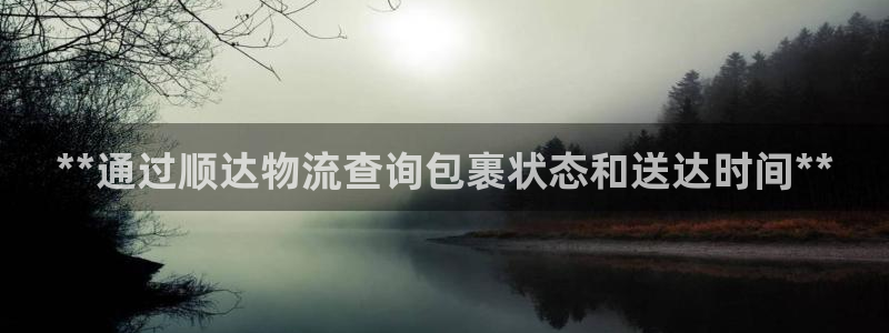 28圈注册号：**通过顺达物流查询包