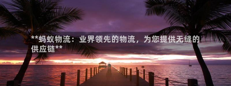 28圈游戏官网平台：**蚂蚁物流：业