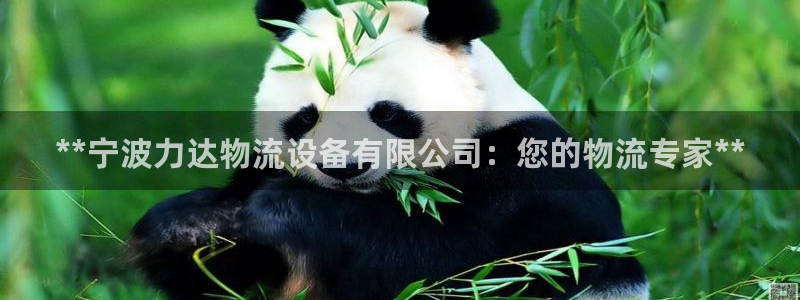 28圈充值不到账：**宁波力达物流设