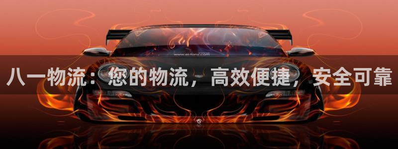 28圈官网注册：八一物流：您的物流，