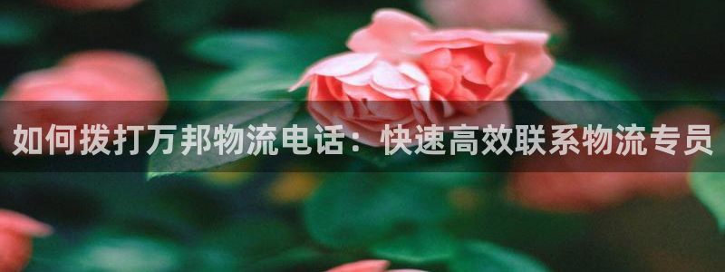 28圈官方版网站：如何拨打万邦物流电