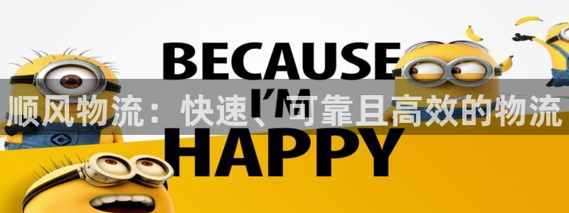 南宫28圈官网版：顺风物流：快速、可