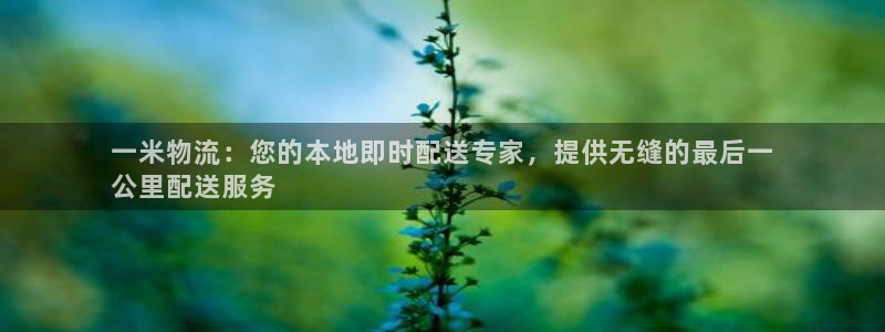 28圈合法吗：一米物流：您的本地即时