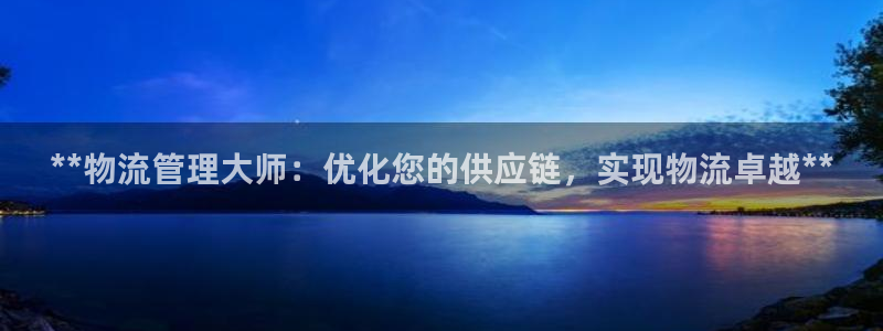 28圈官方：**物流管理大师：优化您