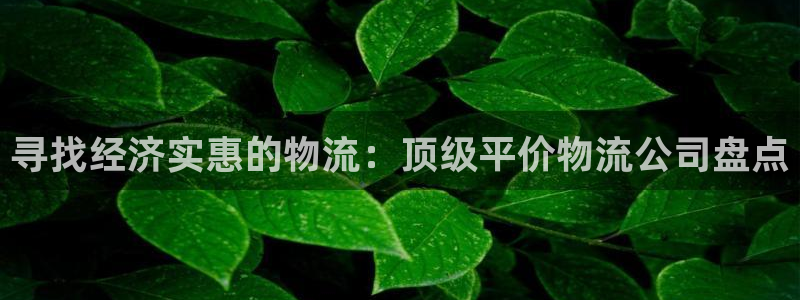 28圈p扣除是什么意思：寻找经济实惠