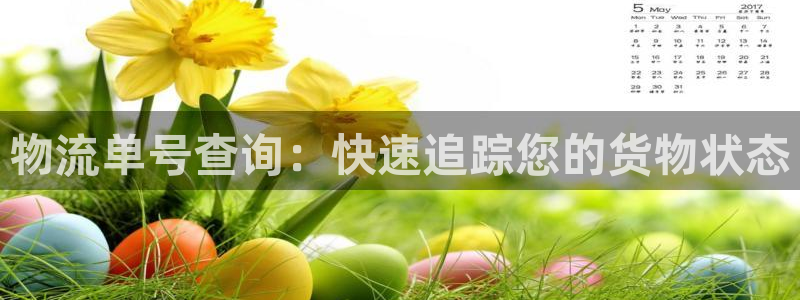 28圈ip被限制怎么解决