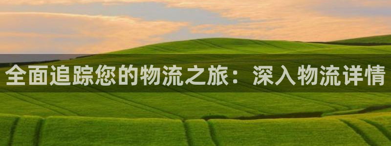 28圈系统自动保护：全面追踪您的物流