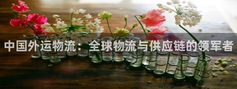 28圈官方网站：中国外运物流：全球物