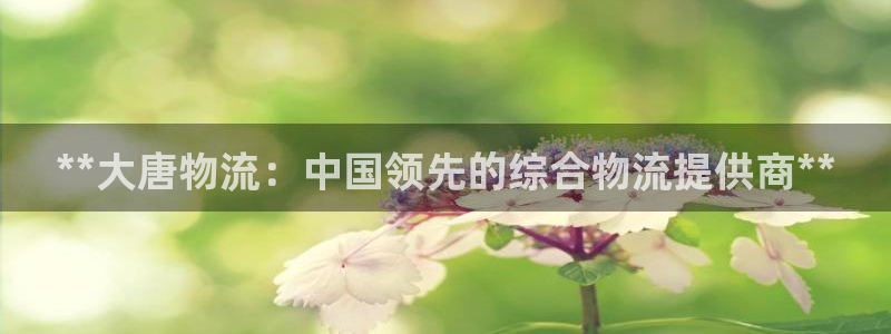 28圈怎么下载教程：**大唐物流：中
