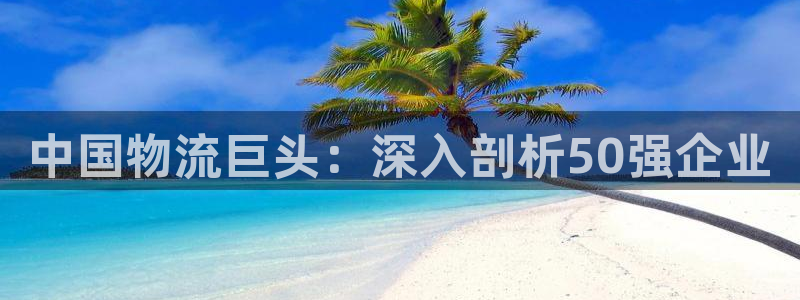 28圈相信品牌的力量：中国物流巨头：