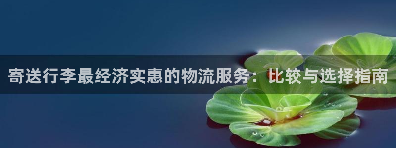 28圈怎么下载教程：寄送行李最经济实