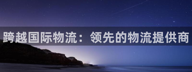 28圈最稳打法：跨越国际物流：领先的